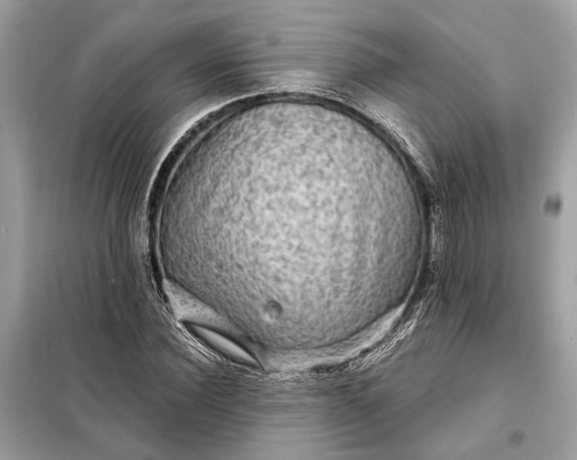 X0000098170924200805080958