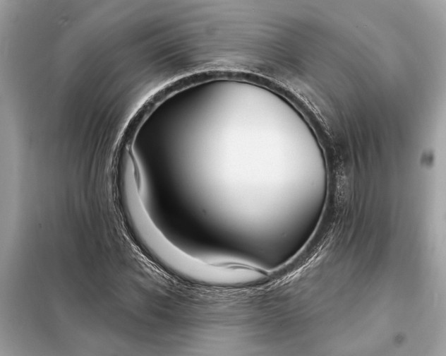 X0000098170926200805080958