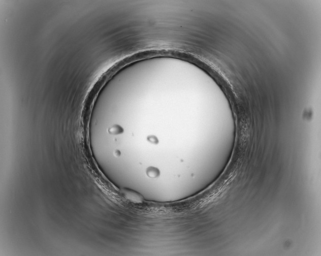 X0000098170927200805080958