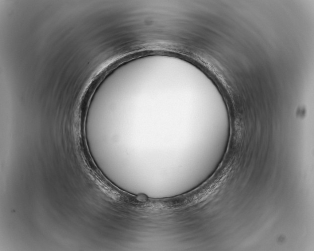 X0000098170931200805080958