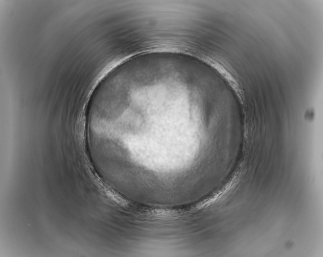 X0000098170933200805080958