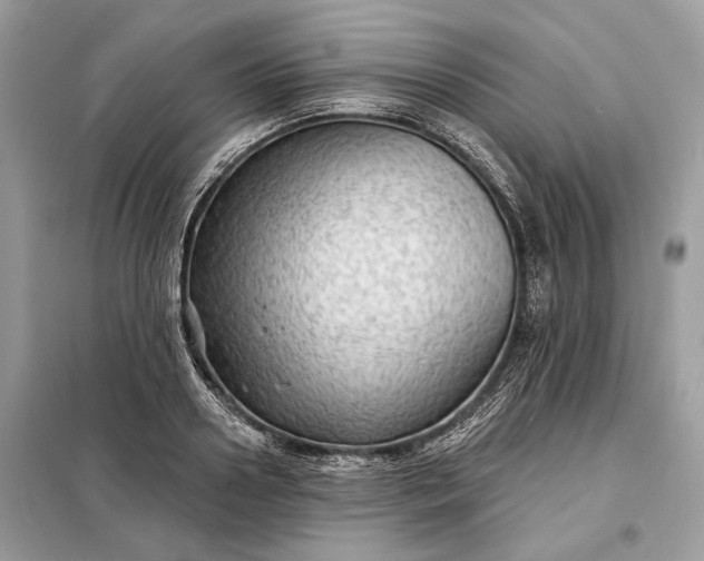 X0000098170938200805080958