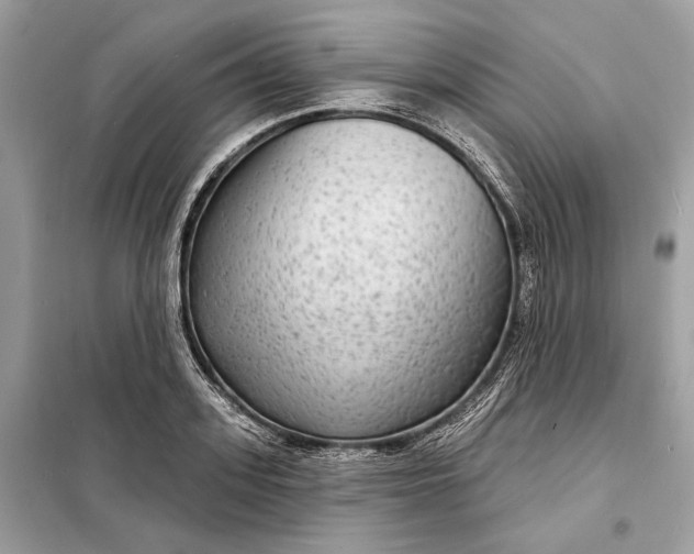 X0000098170939200805080958