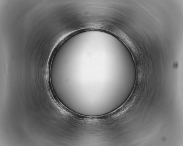 X0000098170940200805080958