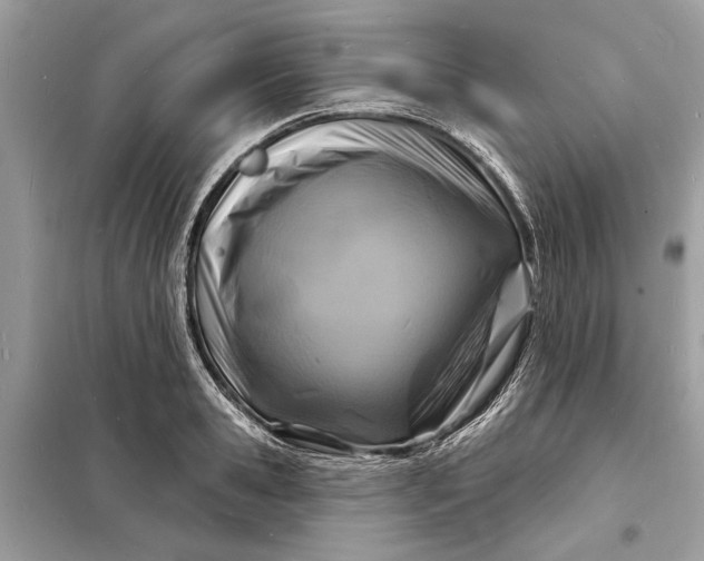 X0000098170941200805080958