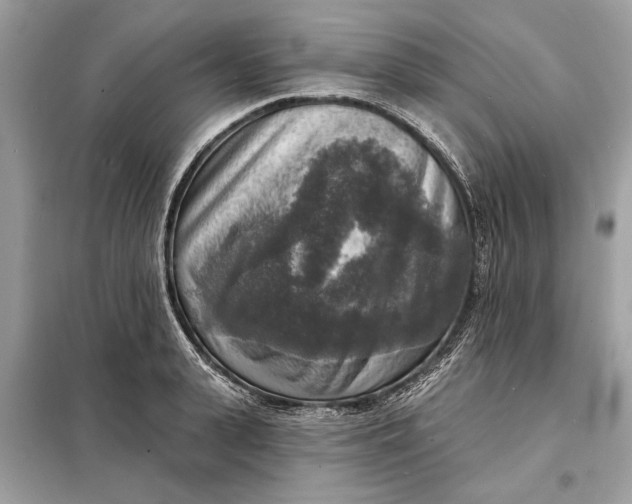 X0000098170943200805080958