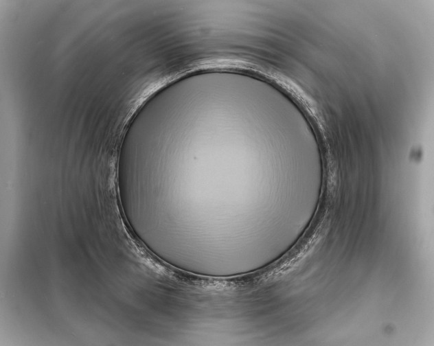 X0000098170945200805080958