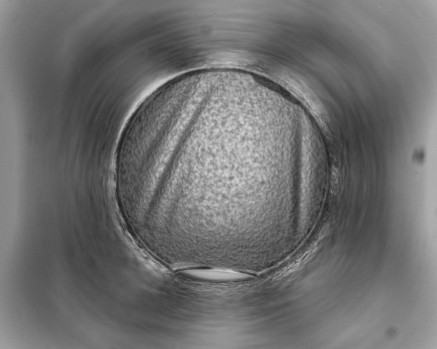 X0000098170948200805080958