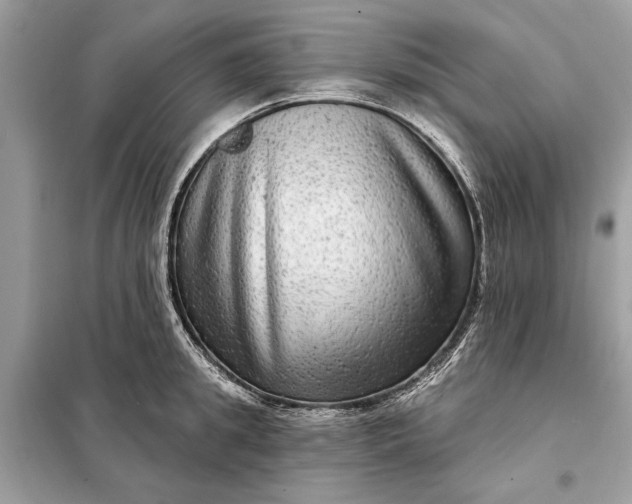 X0000098170949200805080958