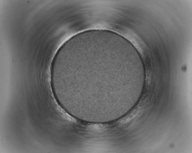 X0000098170950200805080958