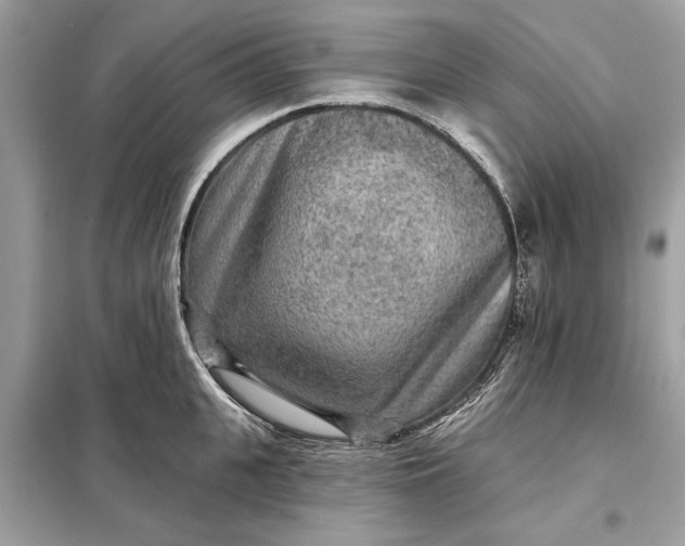 X0000098170951200805080958