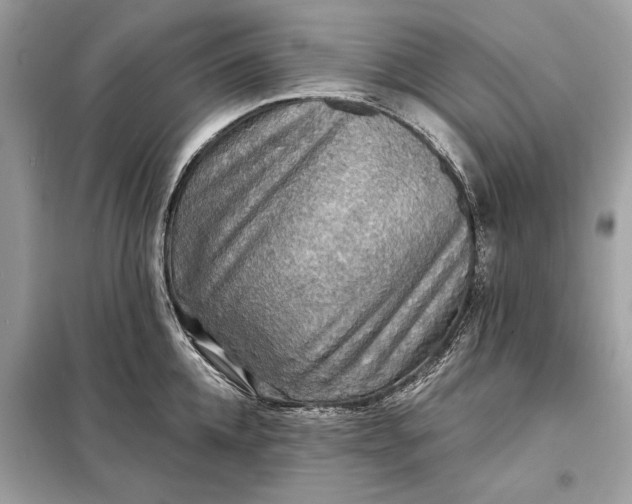 X0000098170952200805080958