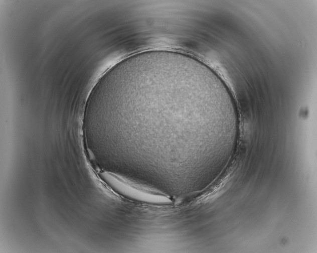 X0000098170954200805080958