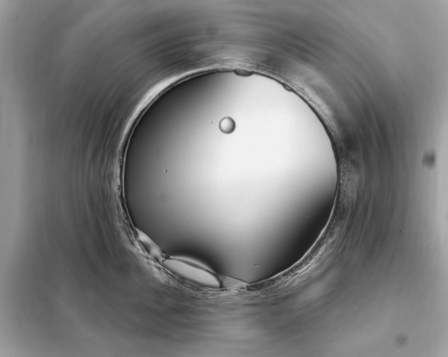 X0000098170956200805080958