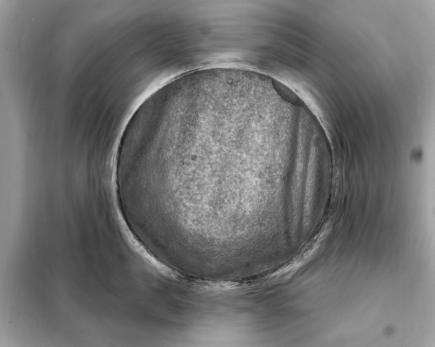 X0000098170957200805080958