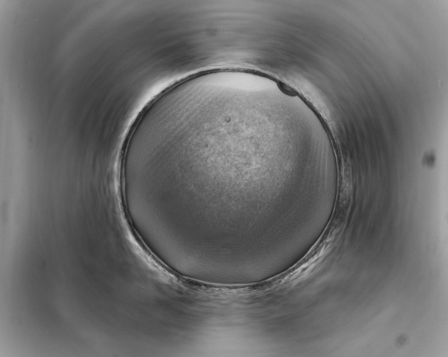 X0000098170958200805080958