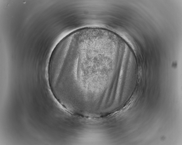 X0000098170959200805080958