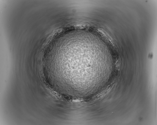 X0000098170961200805080957