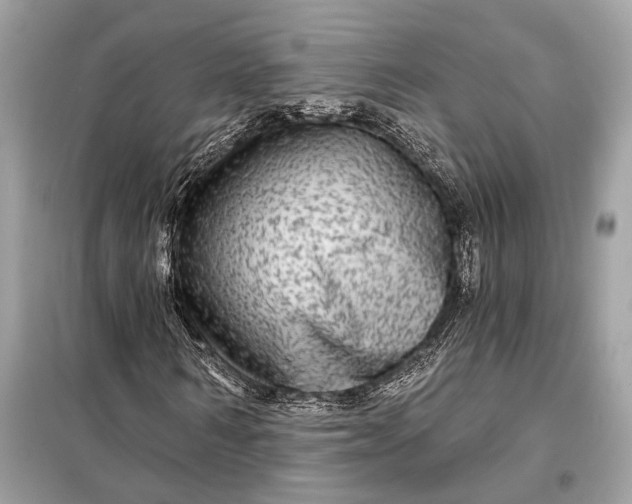 X0000098170962200805080957