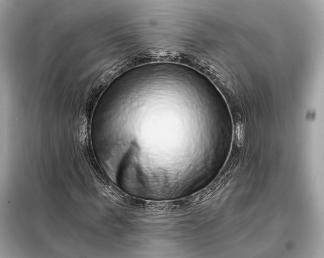 X0000098170963200805080957