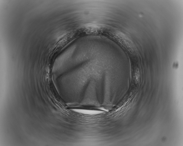 X0000098170964200805080957