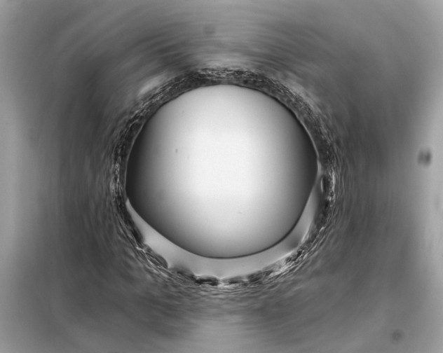 X0000098170965200805080957