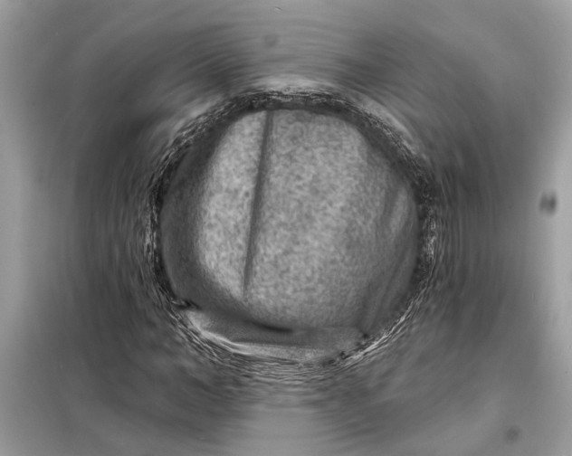 X0000098170966200805080957