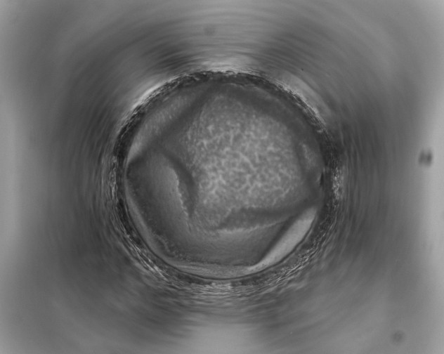 X0000098170968200805080957