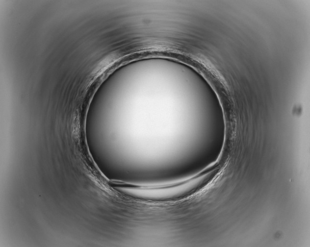 X0000098170969200805080957