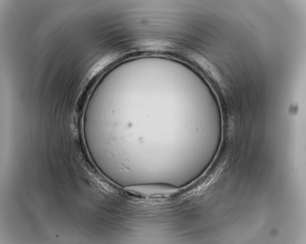 X0000098170970200805080957