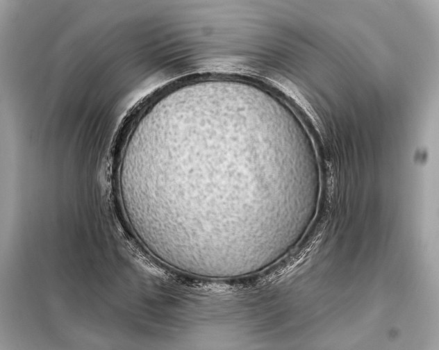 X0000098170971200805080957