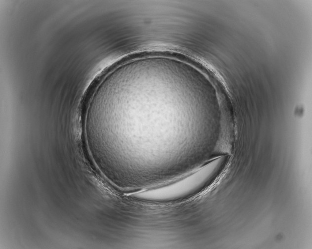 X0000098170973200805080957