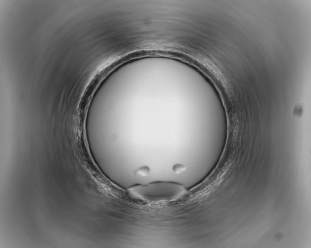 X0000098170974200805080957