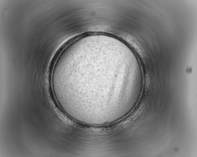 X0000098170976200805080957