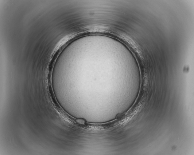 X0000098170978200805080957