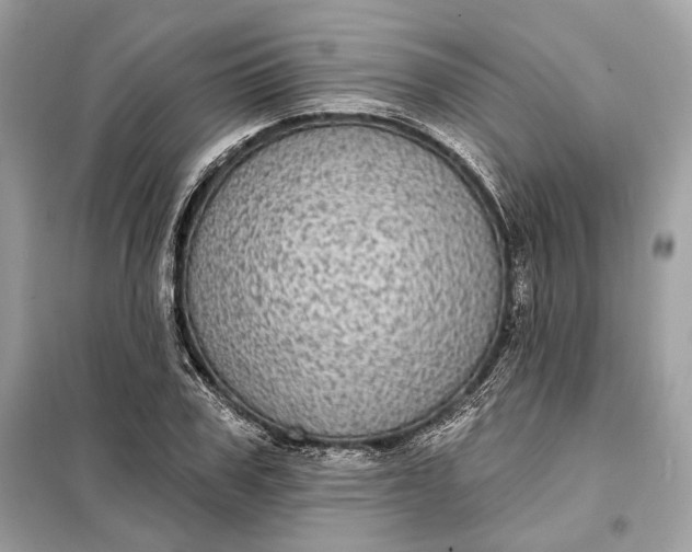 X0000098170979200805080957