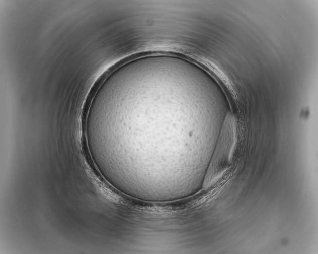 X0000098170980200805080957