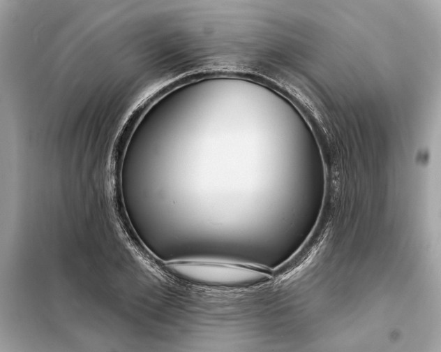 X0000098170981200805080957