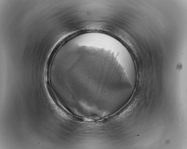 X0000098170984200805080957