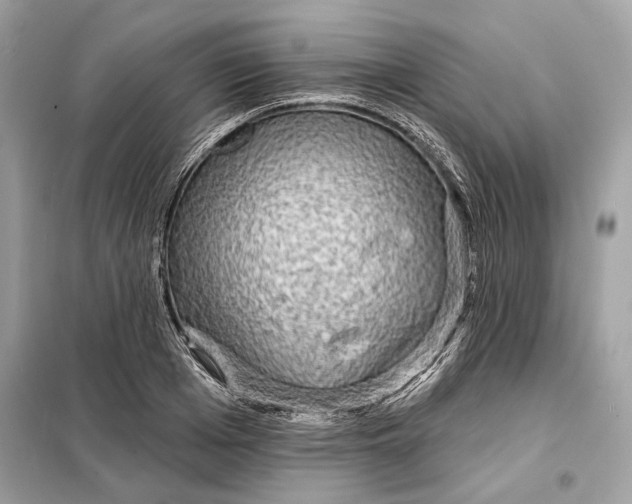 X0000098170985200805080957