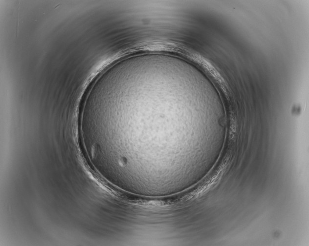 X0000098170986200805080957