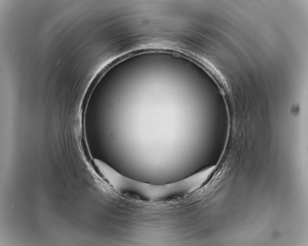 X0000098170988200805080957