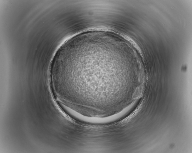 X0000098170989200805080957