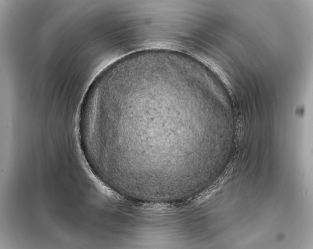 X0000098170991200805080957