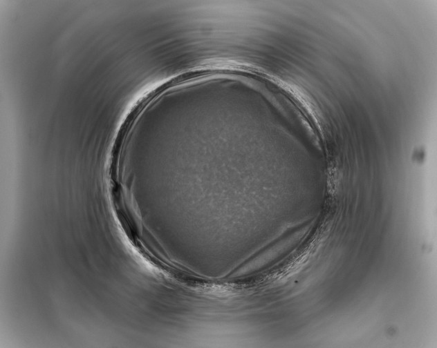 X0000098170995200805080957