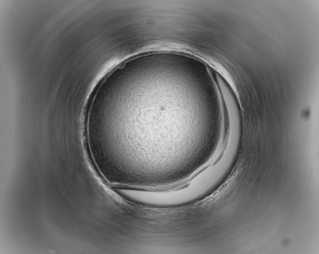 X0000098170997200805080957