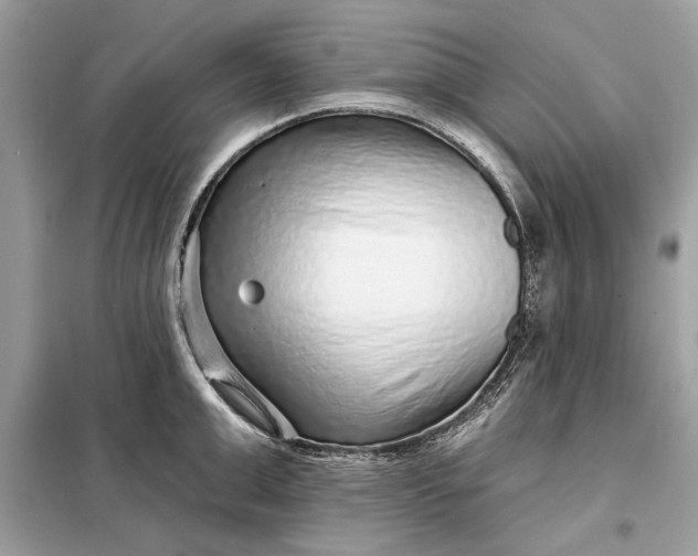 X0000098170999200805080957