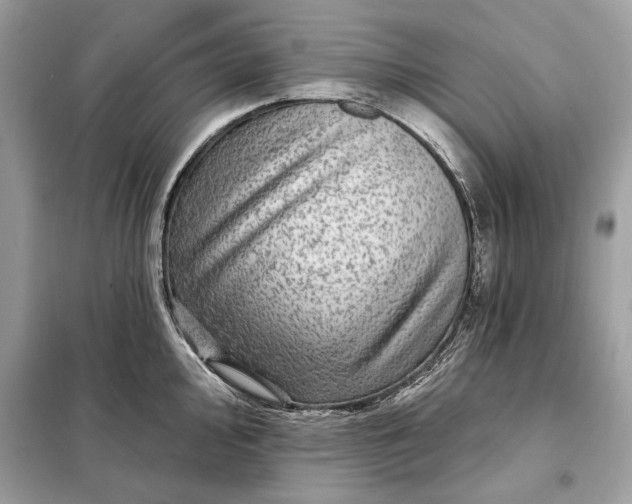 X0000098171000200805080957