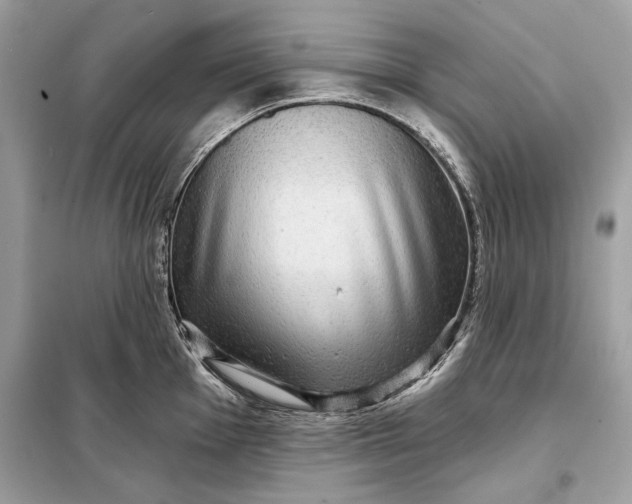 X0000098171001200805080957