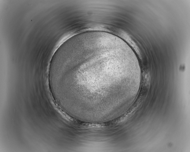 X0000098171002200805080957